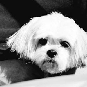 Meet your Posher, Cami